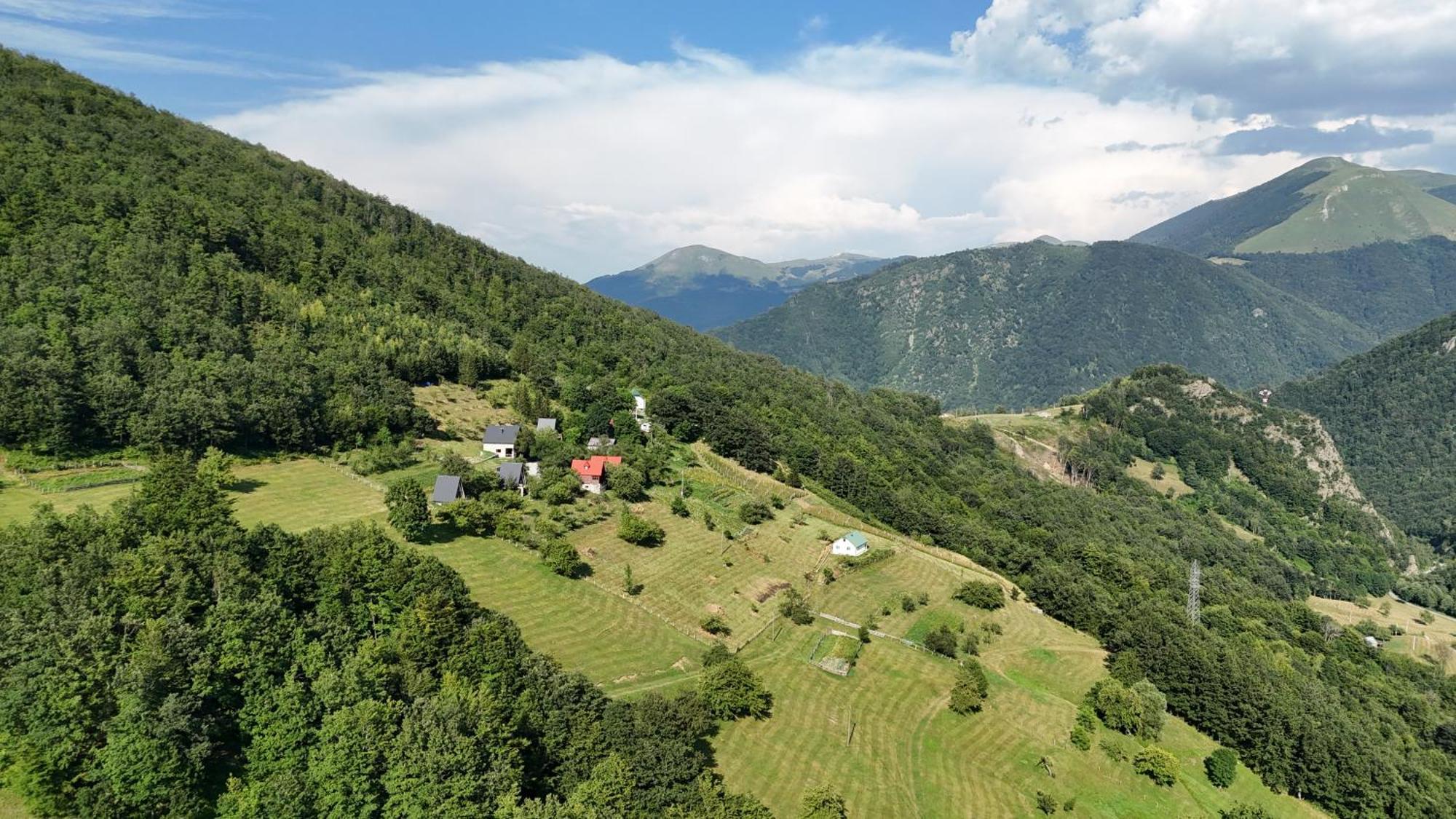 Fern Farm Eco Resort 莫伊科瓦茨 外观 照片