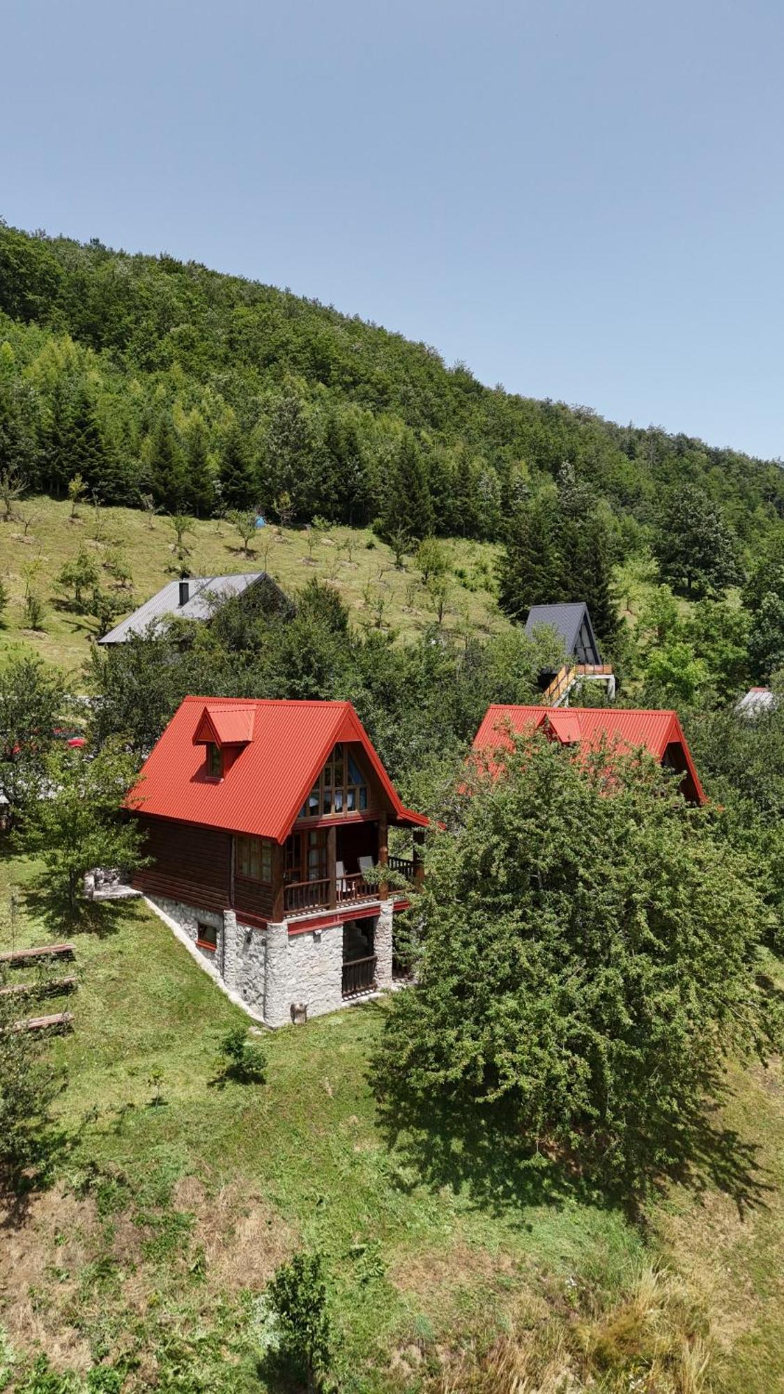 Fern Farm Eco Resort 莫伊科瓦茨 外观 照片