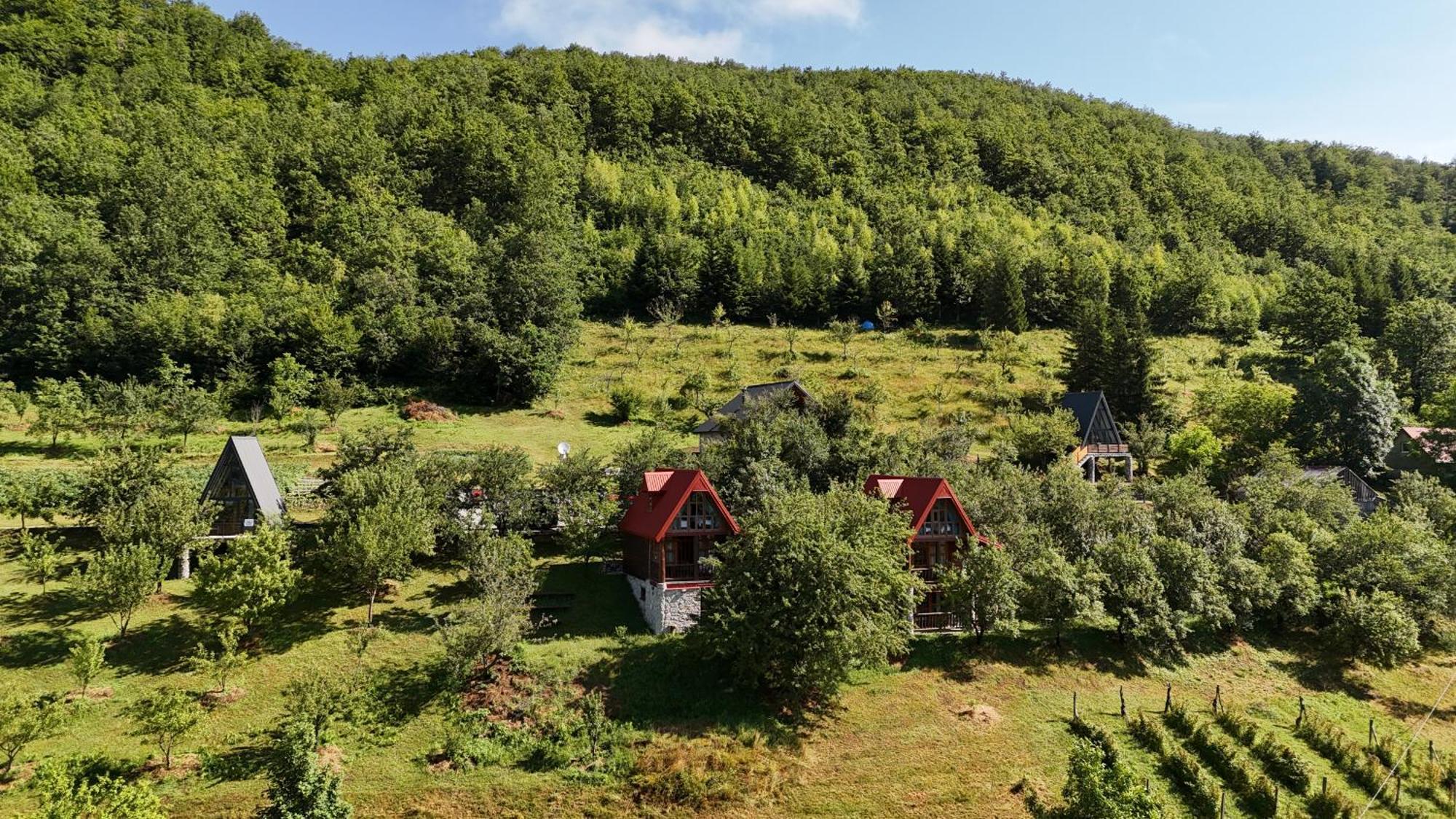 Fern Farm Eco Resort 莫伊科瓦茨 外观 照片